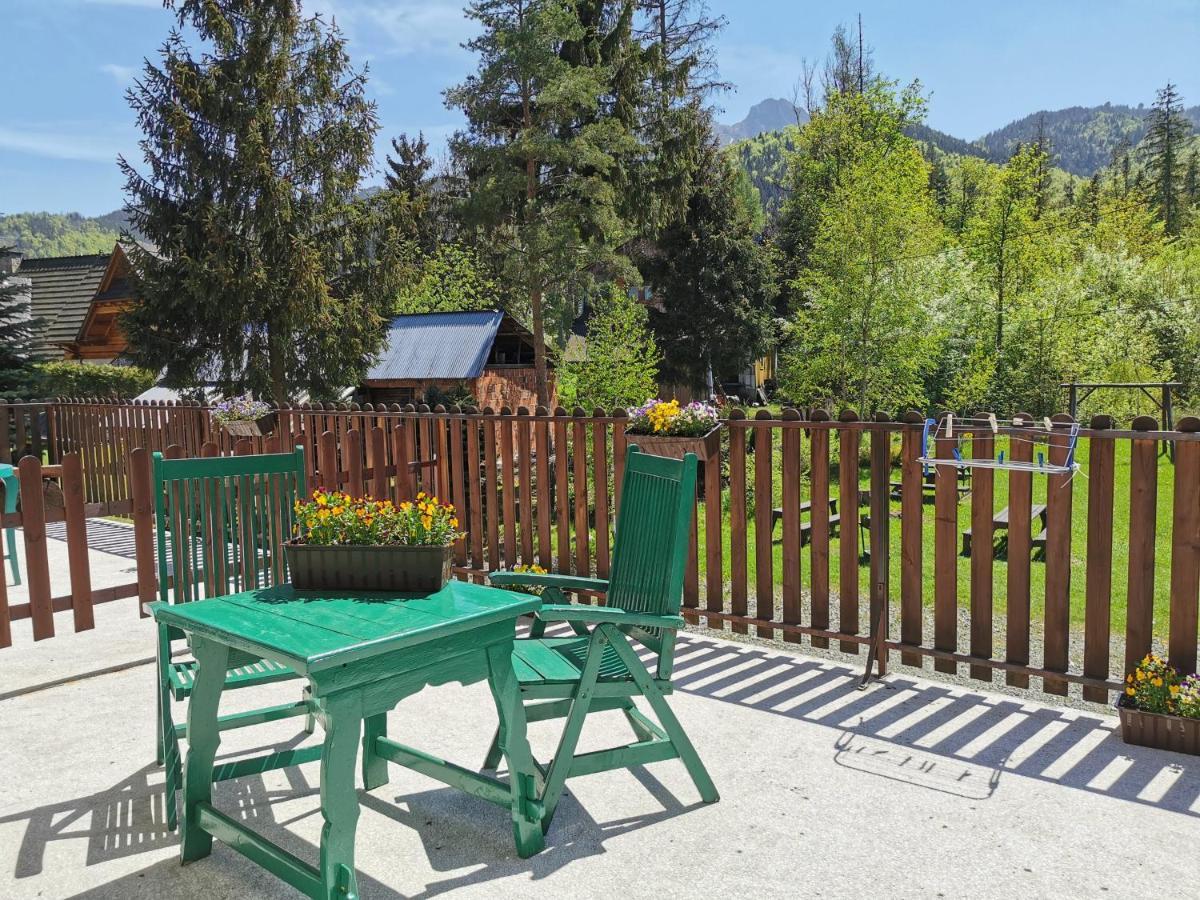 Senator Homestay