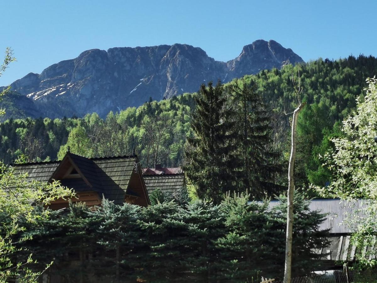 Privatunterkunft Senator Zakopane