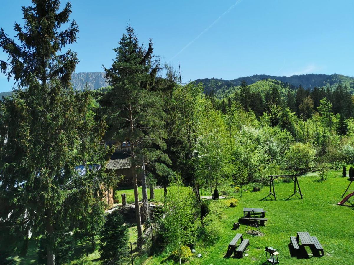 Senator Privat overnatting